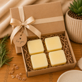 Mini Conditioner Discovery Box | 4 Conditioner Bars