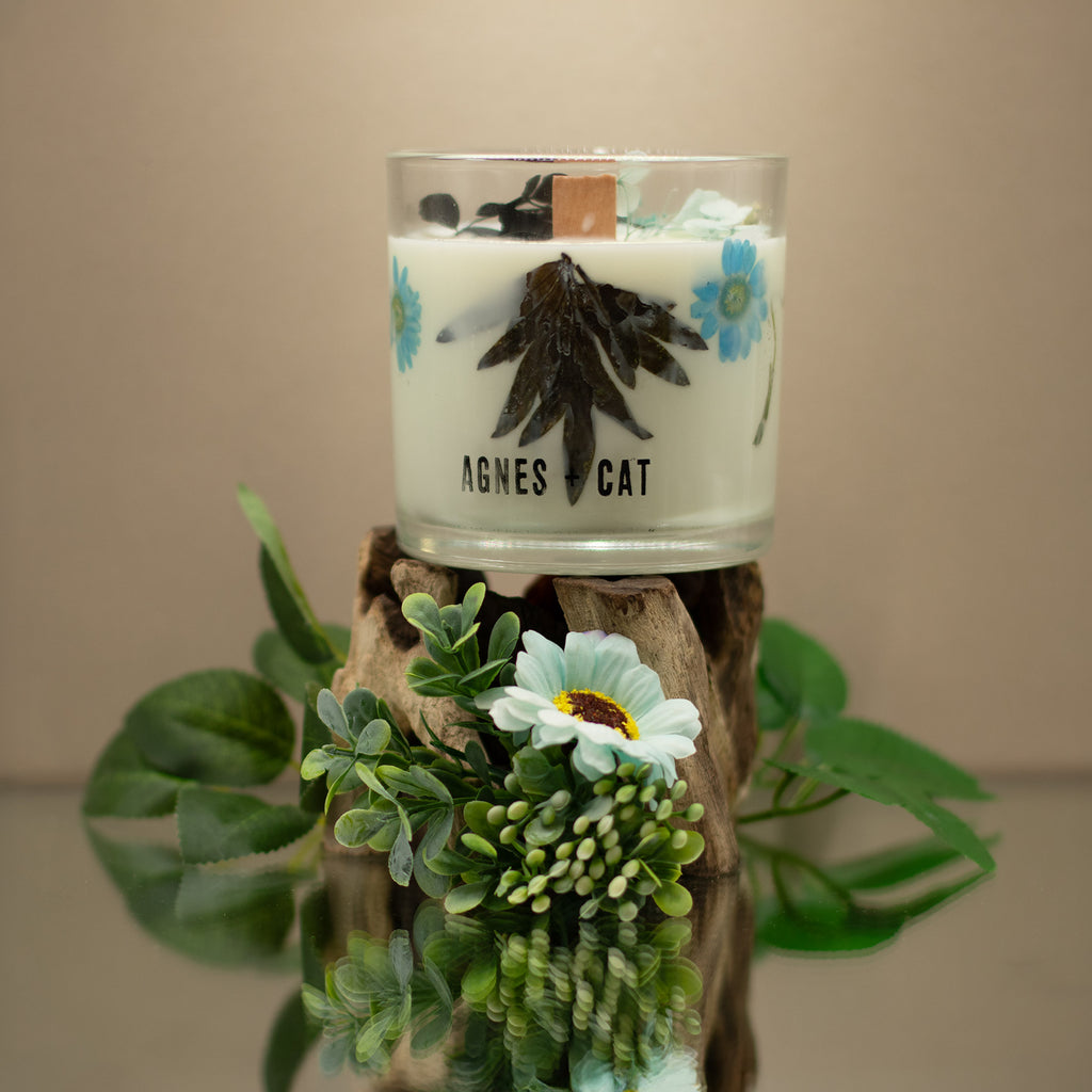Agnes & Cat Geurkaars – Sea Salt & Moss
